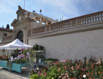 Il 21 e 22 aprile a Villa Caruso la IX edizione di Botanica, la manifestazione florovivaistica dedicata agli amanti della natura e del giardinaggio