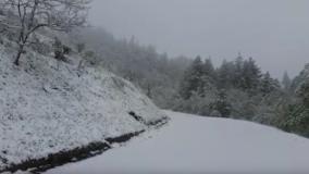 La neve sulla Sp 74, all'altezza di Marradi