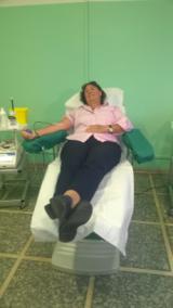 SaccardiSangue