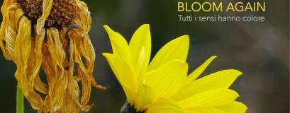 Bloom Again: in Toscana opportunità importante di “Ri-fioritura” scolastica