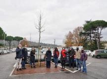 Alberi al posto dell'asfalto, completato in piazza Puliti il nuovo ‘parcheggio verde’ con 17 alberi mangia-smog