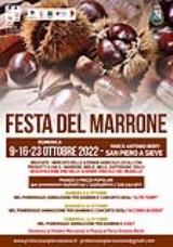 Festa del mattone