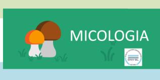 Micologia (Fonte immagine Ausl Toscana Centro)