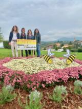 Aiuola con piante amiche delle api (Fonte foto Comune di Calenzano)