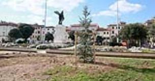 Nuovi alberi in piazza della Vittoria a Empoli: piantati un cedro dell'Atlante e un leccio