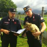 Controllo dei Carabinieri Forestali del nucleo Cites (Fonte foto Carabinieri)