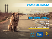 La campagna di Lndc Animal Protection e Anas