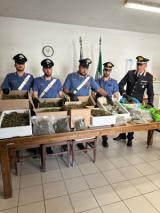Marijuana nascosta in casa (Fonte foto Carabinieri)