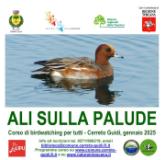 Locandina evento “Ali sulla Palude”