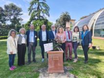 Al Meyer la rosa La Cura