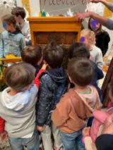 Iniziativa api (Foto da comunicato Comune di Certaldo)