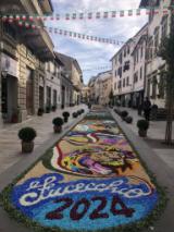 Infiorata edizione 2024