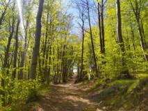 giardino Schignano (fonte foto comunicato stampa)