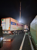 Foto Città Metropolitana di Firenze