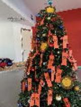 (fonte foto comunicato stampa)