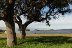 Estra sottoscrive un Corporate PPA con Statkraft per la fornitura di energia rinnovabile (Fonte foto: comunicato stampa Estra)