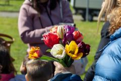 Quarantamila tulipani in fiore al Bardo
