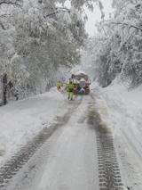Foto Città Metropolitana di Firenze