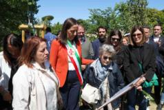 FONTE COMUNE FIRENZE