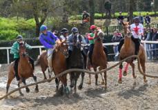 Domenica 26 aprile seconda sessione con le Corse di Primavera