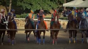 Frame dal video di Florence Tv