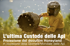 Honeyland, l&rsquo;ultima Custode delle Api