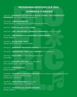 programma domenica 17 maggio