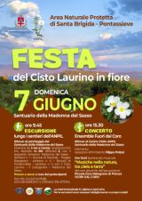 cisto pontassieve