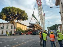 Ponte al Pino (foto Antonello Serino - Met Ufficio Stampa)