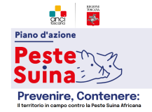 Peste suina africana, arriva il webinar di Anci Toscana e Regione