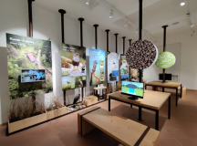 Centro Visite del Parco delle Foreste Casentinesi (fonte foto sito Centro Visite)