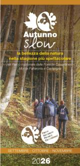 coperttina pieghevole