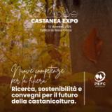 Locandina evento