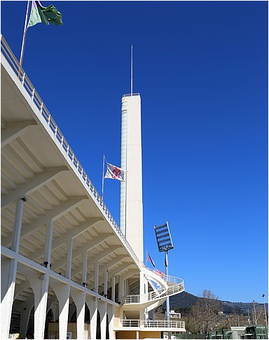 La torre dello stadio Artemio Franchi (Foto di repertorio)