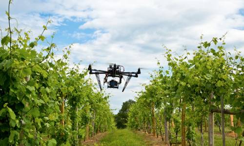 Innovazione Agricoltura (Fonte Foto RegioneT oscana) 