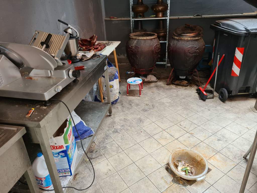 Un'anguilla tra gli escrementi di topo: chiuso per gravi condizioni igieniche un ristorante aperto da pochi mesi (Fonte foto Comune di Prato)