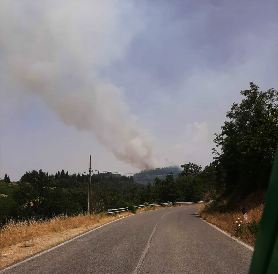 Incendio boschivo in località Riseccoli nel comune di Greve in Chianti (Fonte foto Regione Toscana)