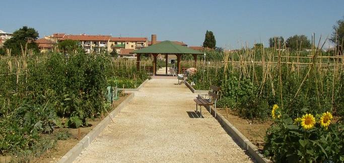 Un patto europeo per l’orticoltura (Fonte foto Toscana Notizie)