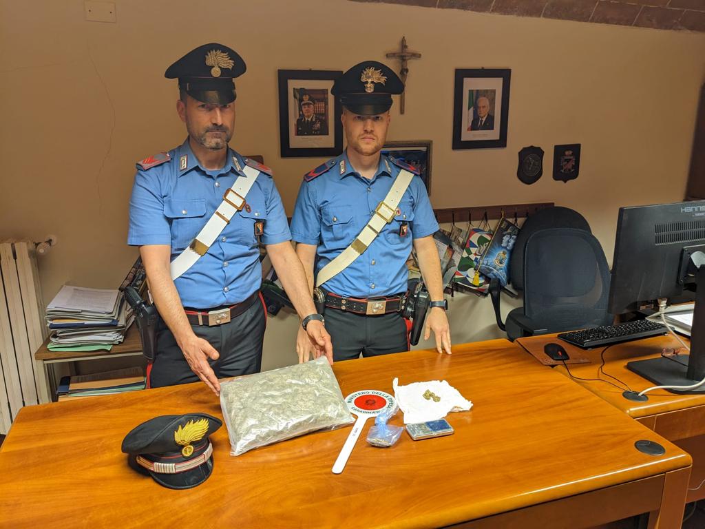 Mezzo chilo di marijuana sequestrata (Fonte foto Carabinieri)
