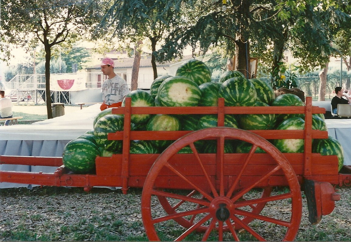 Sagra del Cocomero