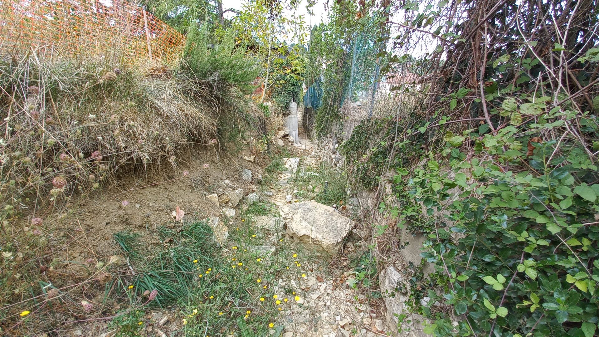 Grassina: il rifacimento di un fosso minoreaffluente dell'Ema a monte del tombamento - prima (Fonte foto Consorzio di Bonifica Medio Valdarno)