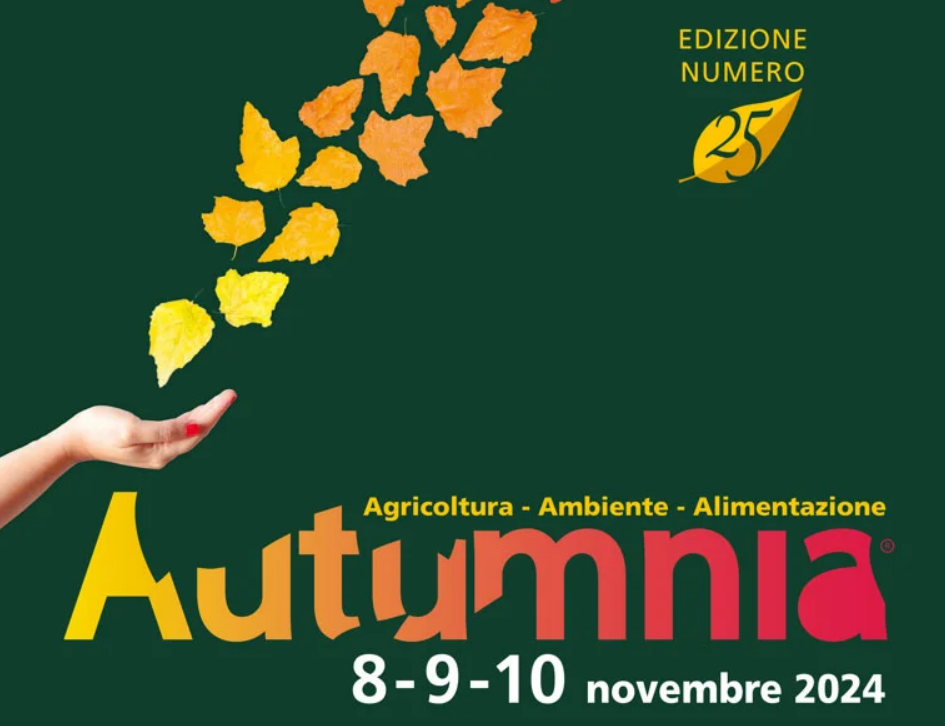 Banner Autumnia 2024