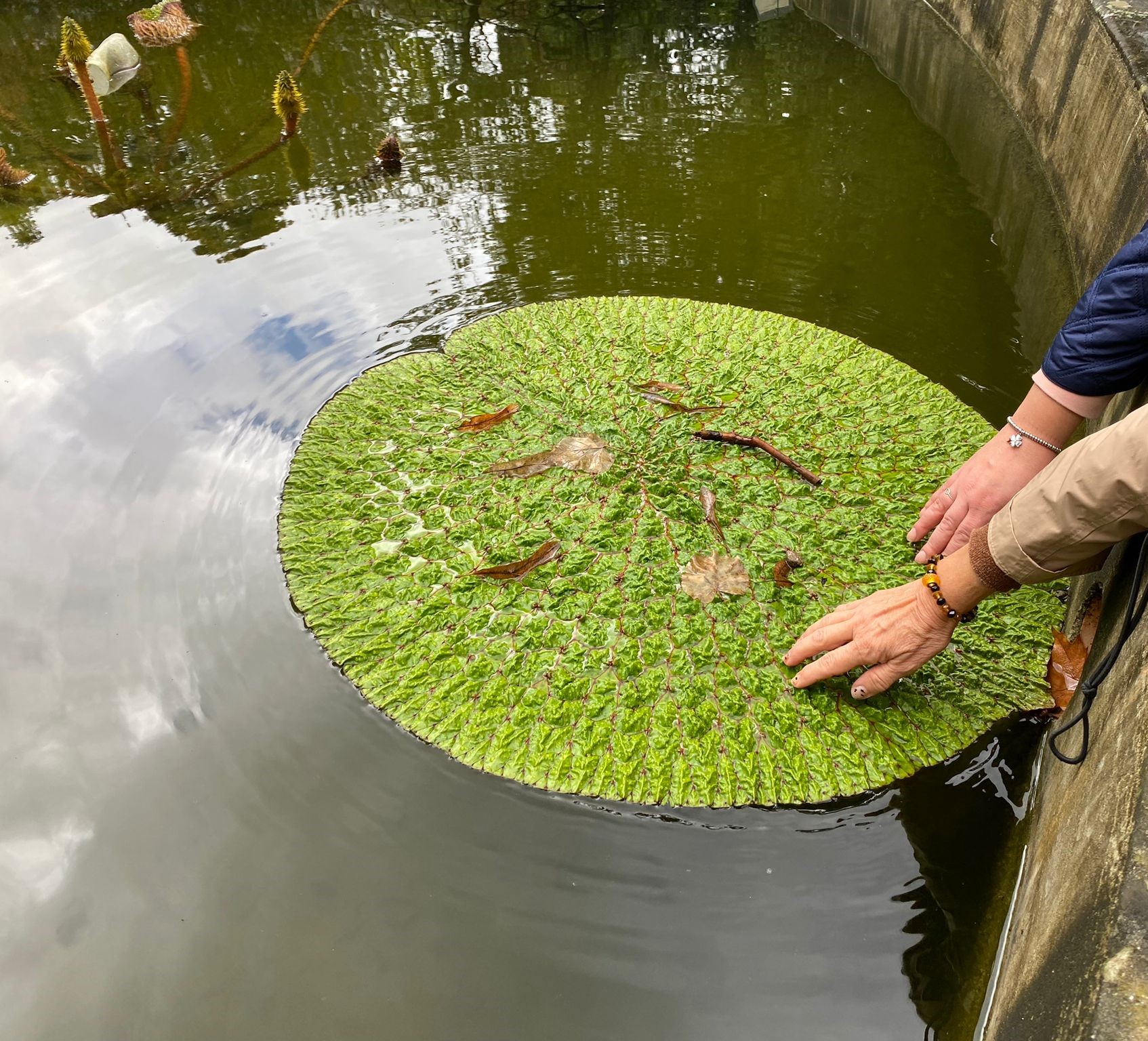 Iniziativa  all'Orto Botanico (Fonte foto Università degli Studi di Firenze)