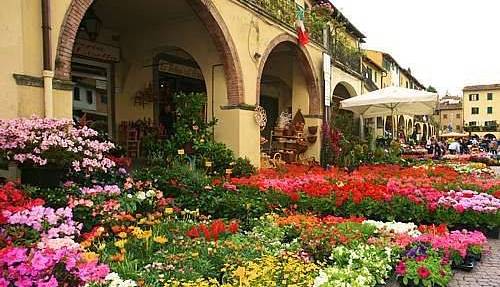Greve in fiore (Fonte foto comunicato Comune di Greve in Chianti)
