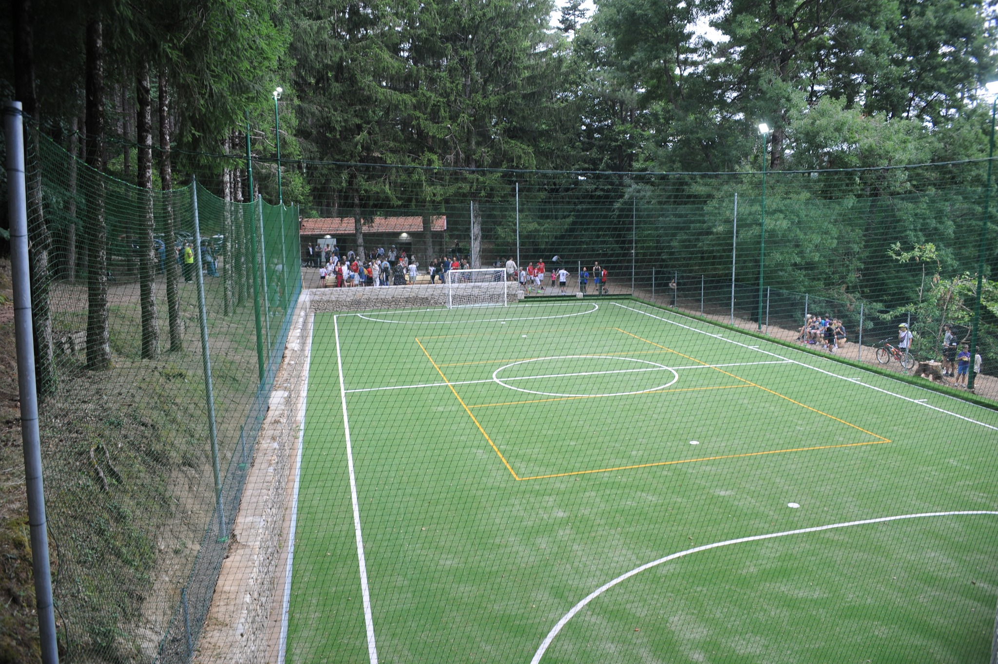 Tosi