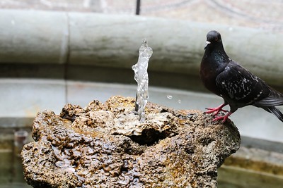 Caldo, allerta arancione a Firenze (foto Antonello Serino)
