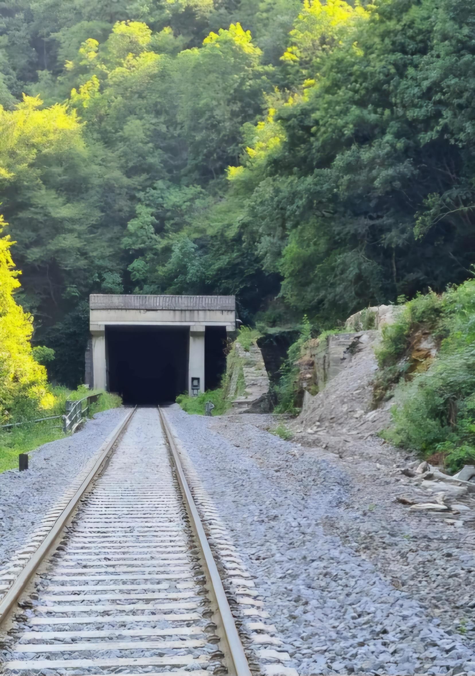 Ferrovie. Linea Faentina: lunedì 8 settembre riprende la circolazione dei treni fra Firenze e Borgo S. Lorenzo e fra Marradi e Faenza (fonte foto FS)