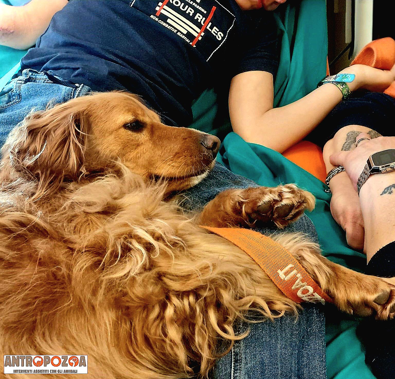 Corsi per operatori Pet Therapy (Foto da comunicato Antropologa)