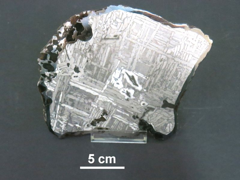 Campione del meteorite Seymchan conservato presso il Museo di Storia Naturale “La Specola” dell’Università di Firenze (Scheda catalogo generale Beni Culturali ICCD0901145264) - Fonte: comunicato Università degli Studi di Firenze)