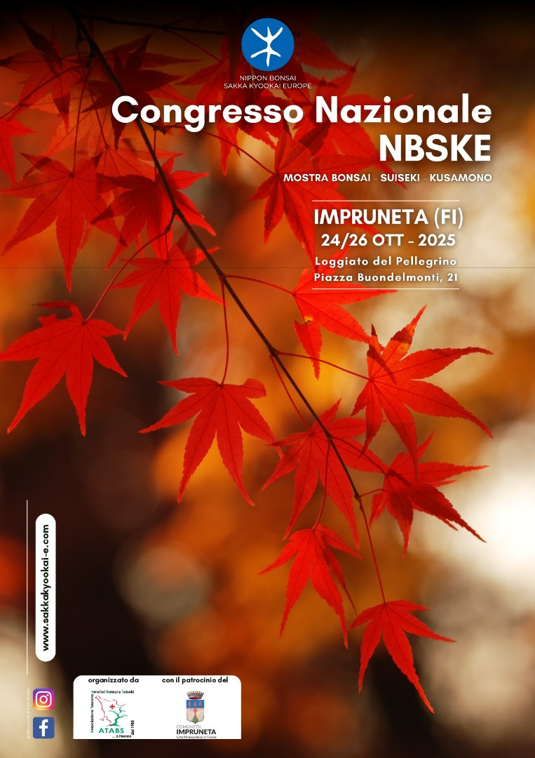 Ufficio Stampa